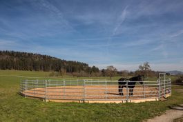 Round-Pen 16,2m Durchmesser 