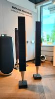 B&O BeoLab 8000 Typnr. 6801 Lautsprecherpaar