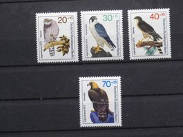 Berlin 1973 Greifvögel **