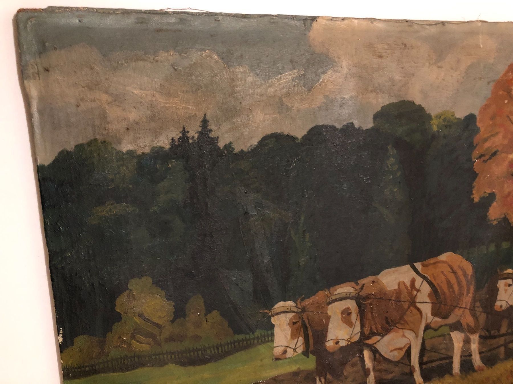 Dipinti: Eventuell E. Scheibe 1923 Ochsengespann beim Pflügen, Bauer – Usato da Hirzel venduto da pjn_d7xp 5