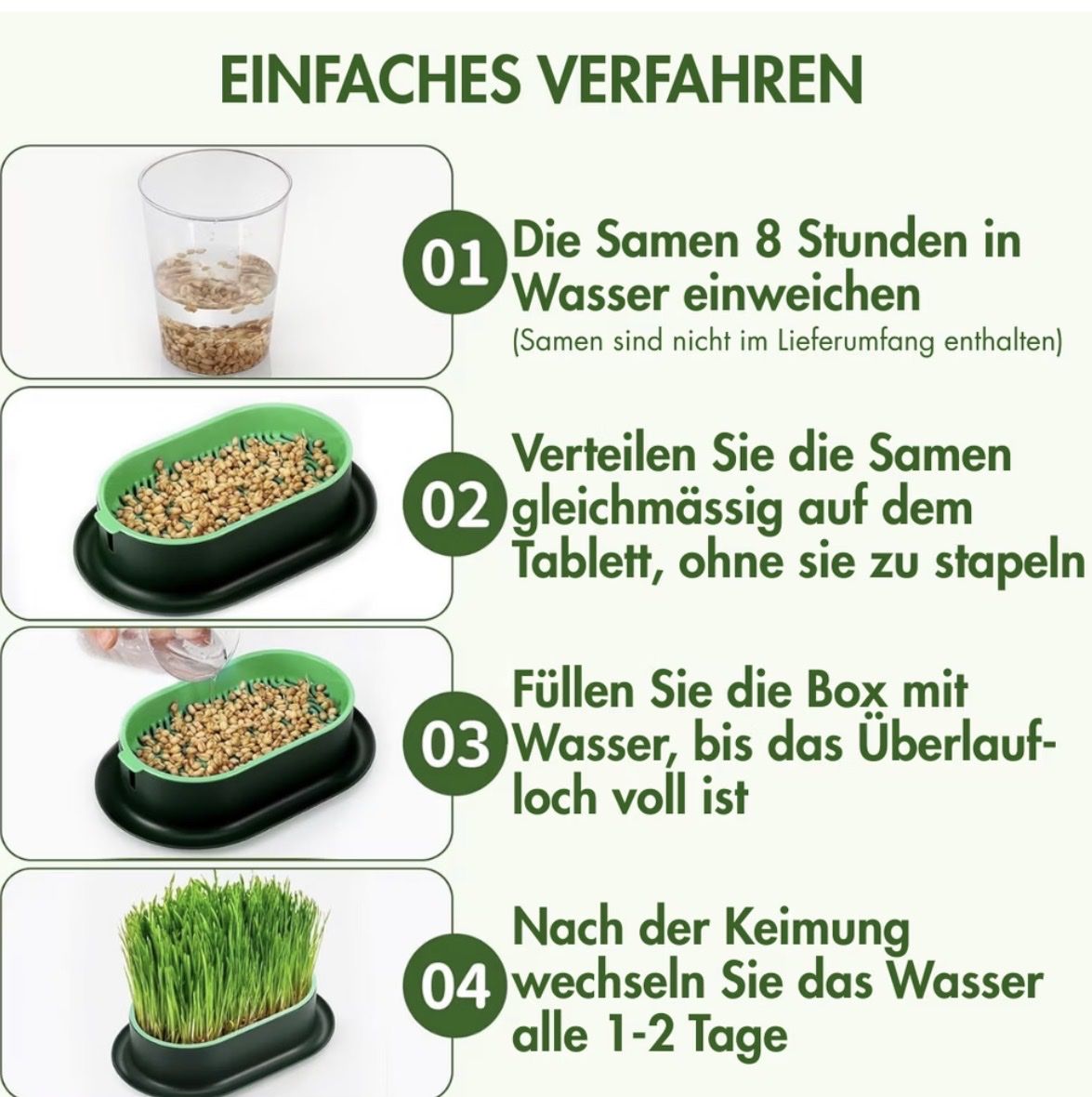 Growbox Altro: SubaPet Grass-Grow – Nuovo (secondo la descrizione) da Fehraltorf venduto da milady 3