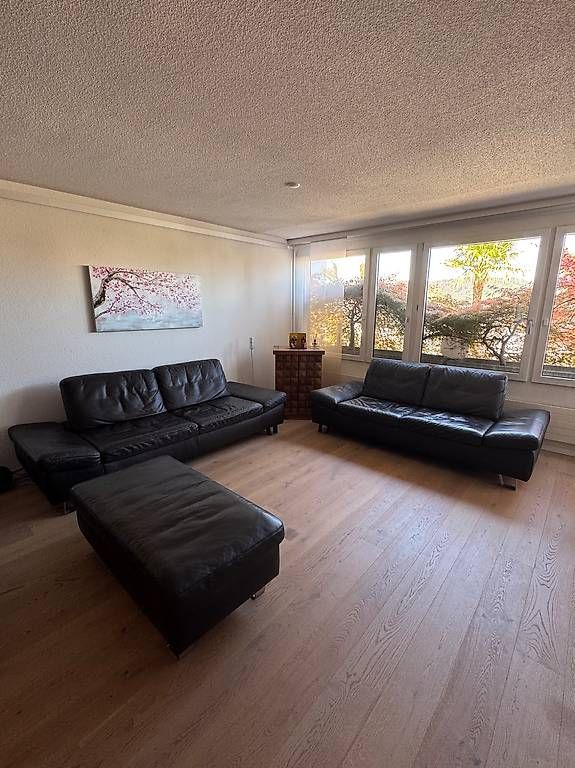 Living Divani Sofas: Echtes Ledersofa-Set (2 Sofas + Hocker) – Gebraucht aus Spreitenbach von lua_6rgh