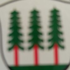 Profile image of gabriela1