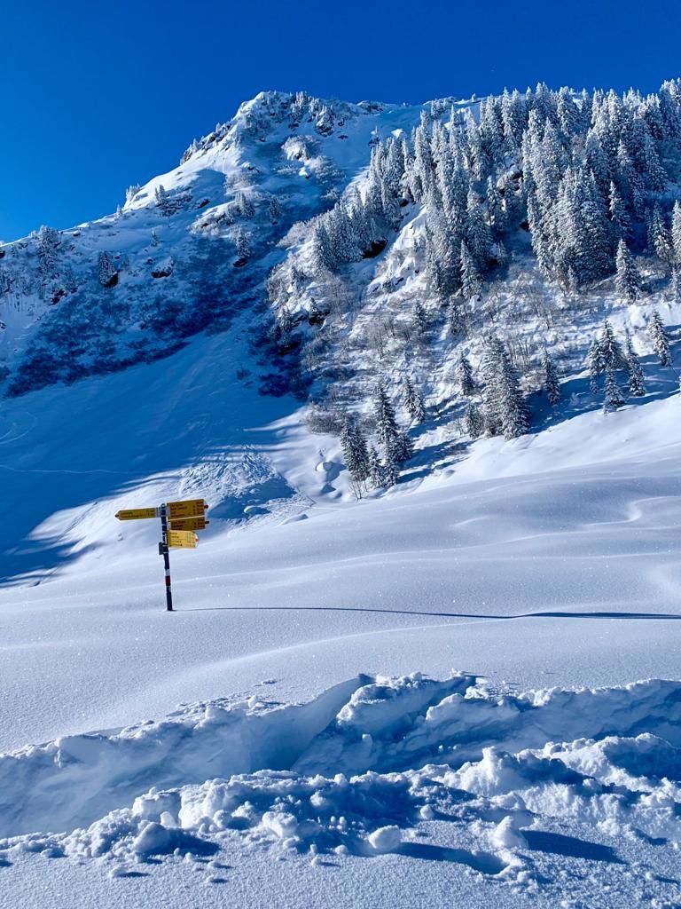 Board: Snowboardcross Snowboards Super (wie Kessler oder oxess) – Nuovo (secondo la descrizione) da Winterthur venduto da Lutz4917 4