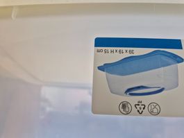 Cake transportbox transparent 39x19x15cm