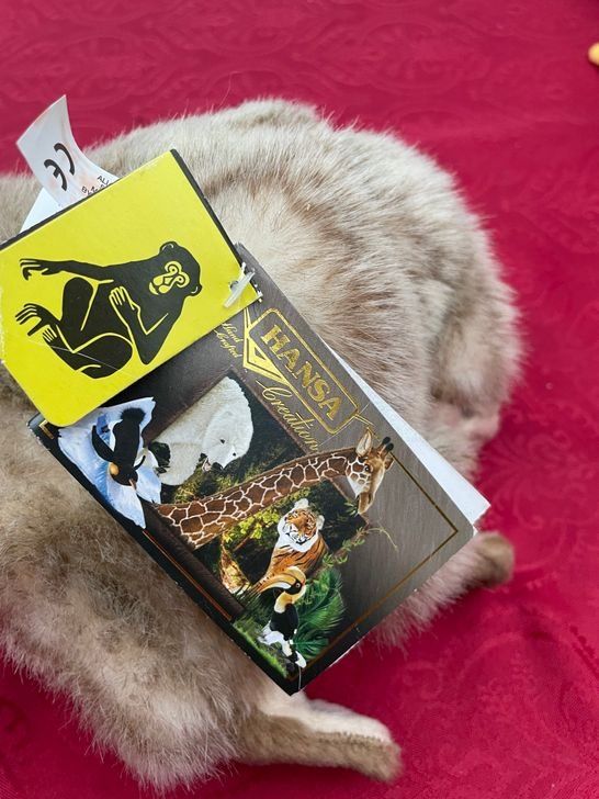 Spielzeuge: Plüsch Figur Affe Affenberg Salem NEU mit Etikett – Neu und originalverpackt aus Bergdietikon von antovale 1