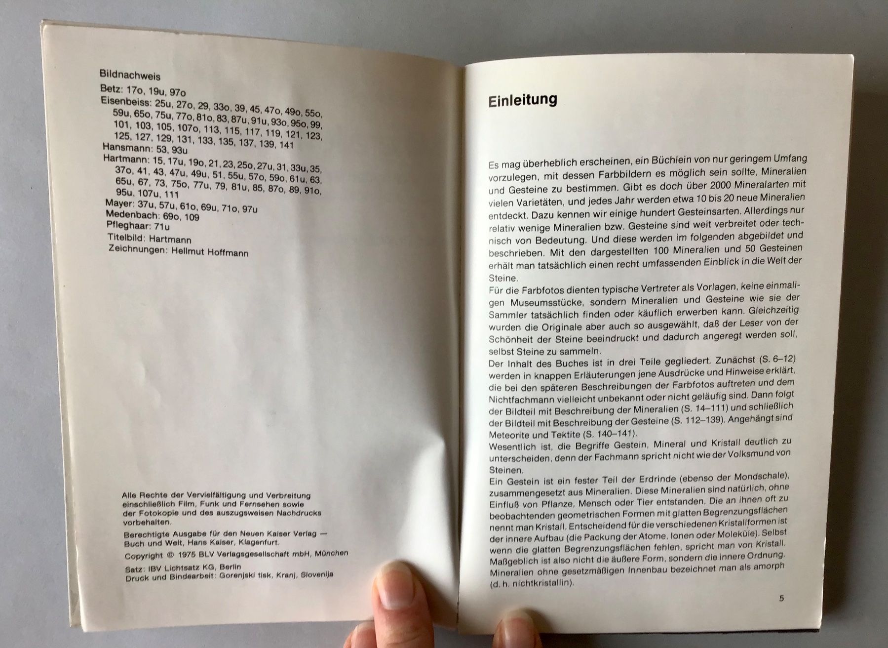Libri: Buch: MINERALIEN + GESTEINE – Usato da Bubendorf venduto da Alpenheidi 3