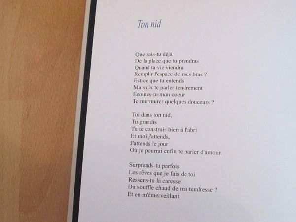 Libri: Hymne à la Vie – Usato da Neuchâtel venduto da Dualseele 7