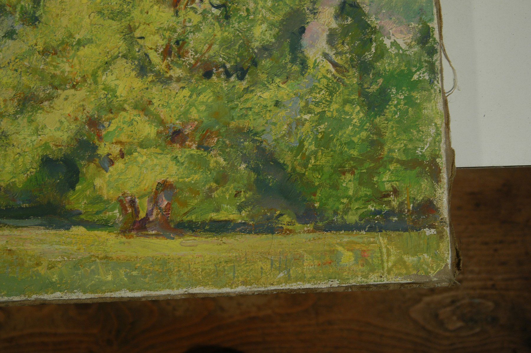 Dipinti: Landschaft am See Oel auf Leinwand – Usato da Herisau venduto da Wisen 1
