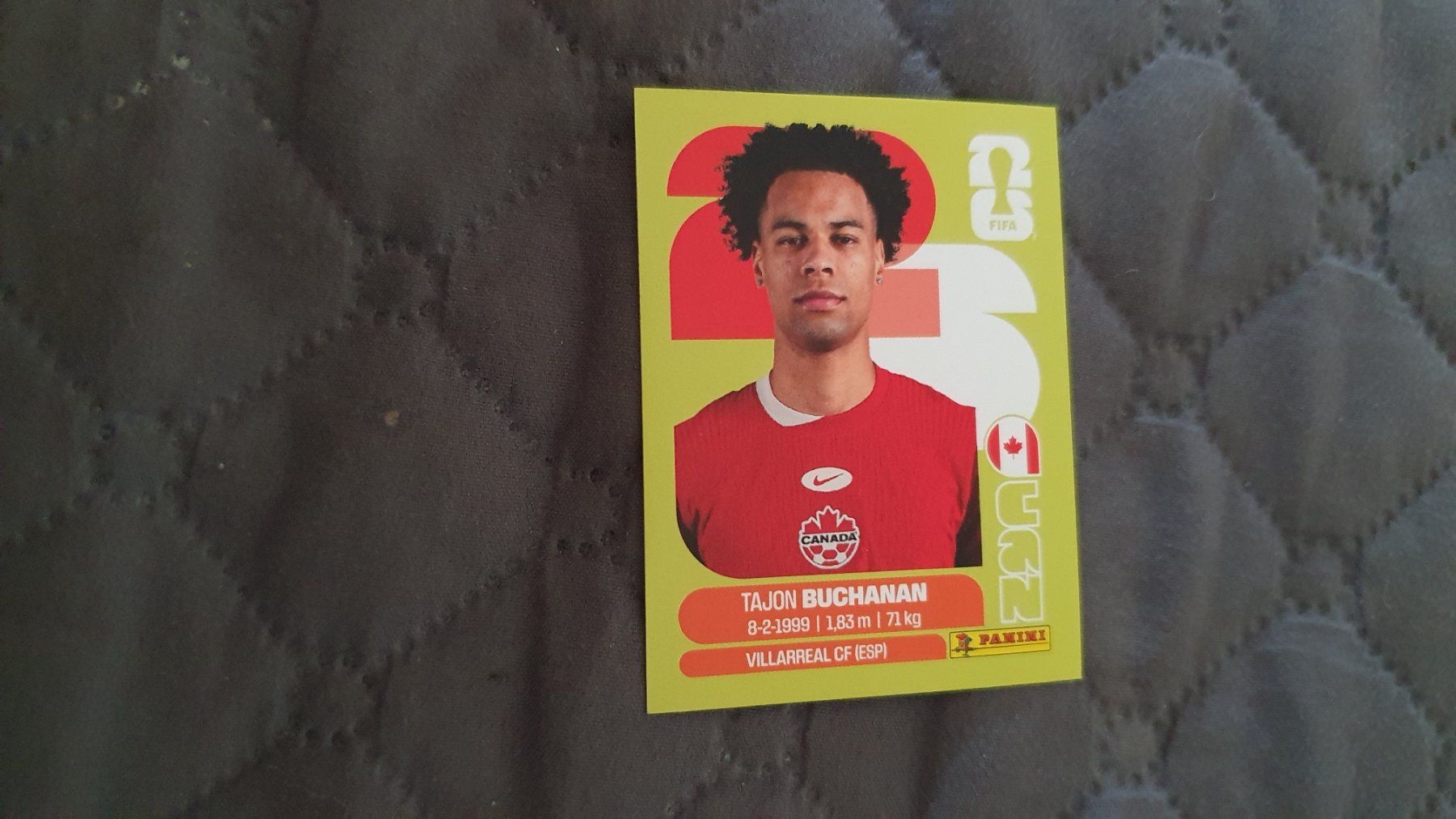 Panini Sammelbilder & Trading cards: Panini WM 2026 - CAN 17 – Gebraucht aus Beromünster von boeggy