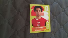 Panini WM 2026 - CAN 17