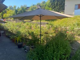 Sonnenschirm mit Kurbel (3m)