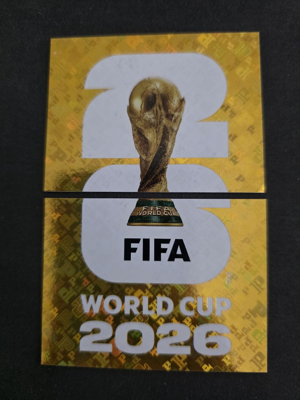 Panini Carte collezionabili: Panini WM2026- Pokal – Usato da St. Gallen venduto da Shelly__x3