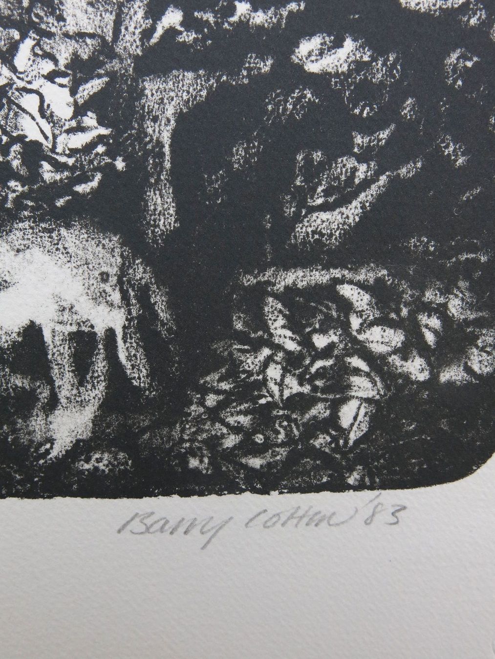Grafica & Litografie: Barry Cotton Lithografie 1983 – Usato da Basel venduto da artmax 3