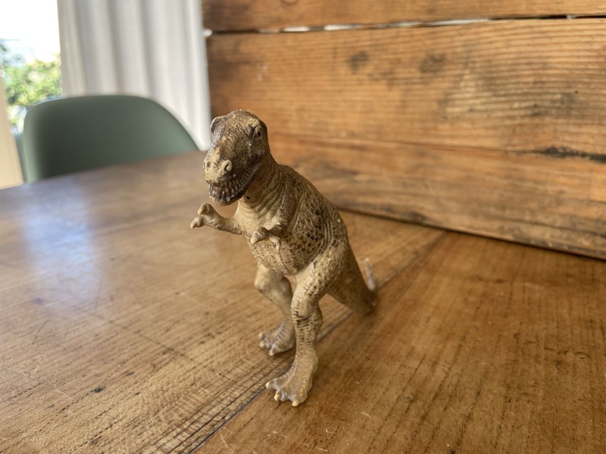 Schleich Giocattoli: Schleich T-Rex – Usato da Bonstetten venduto da soleillle 2