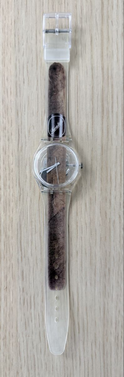 Swatch Orologi: Swatch "Cigar" GK250 Neuve! – Nuovo e nell'imballaggio originale da Vessy venduto da Filippe1 2