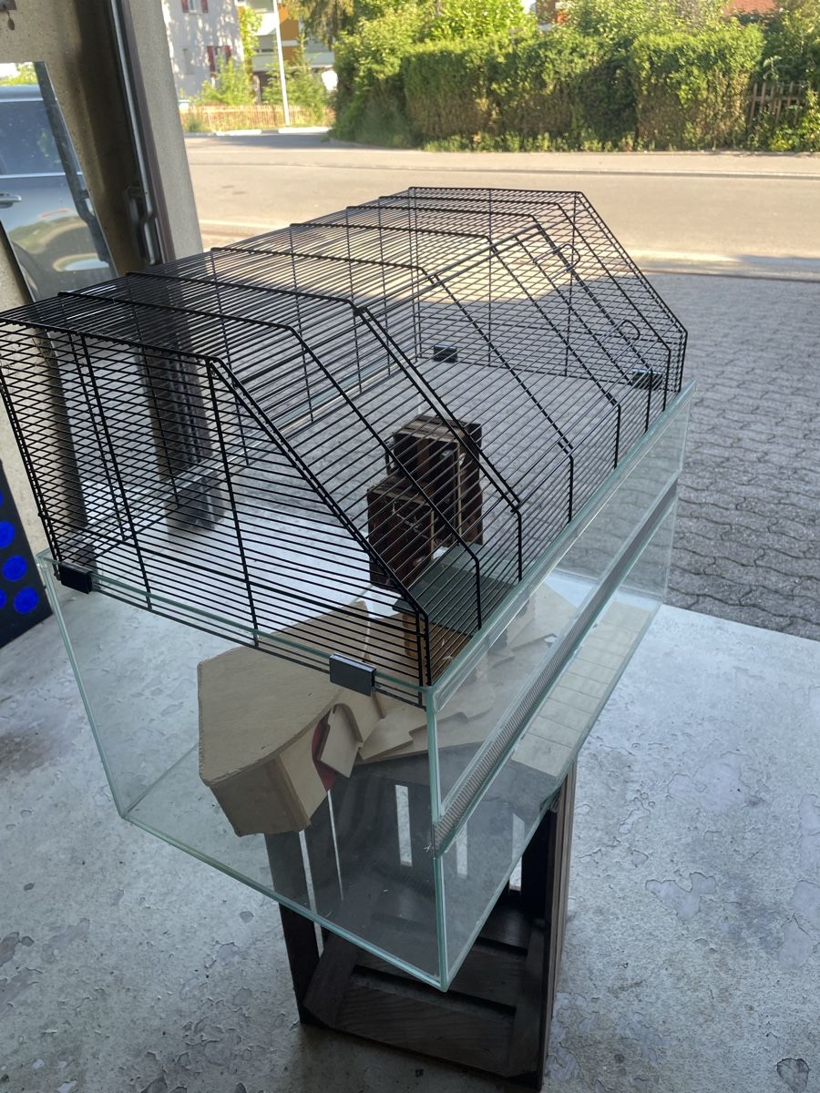 Terrario: Hamsterterarium – Usato da herzogenbuchsee venduto da danny08