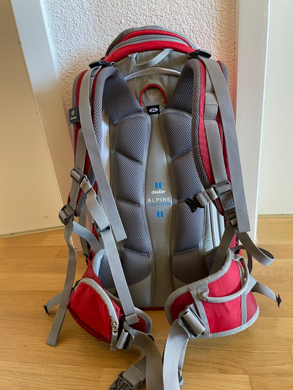 Deuter Zaini: Rucksack Deuter Cruise 28 SL – Usato da Bern venduto da ebl_tqk2 1