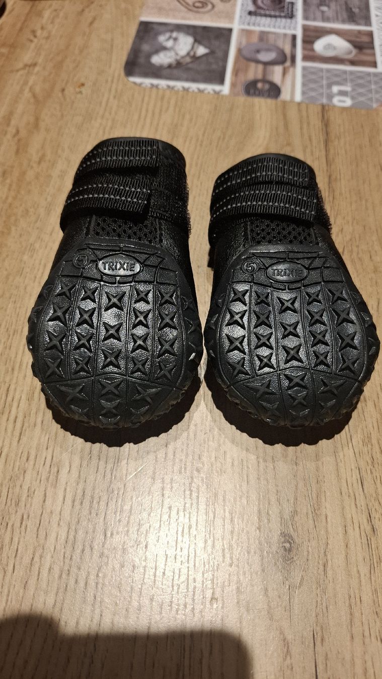 Bekleidung: Hundeschuhe/Pfotenschutz – Neu und originalverpackt aus Aristau von Samuel8910 1
