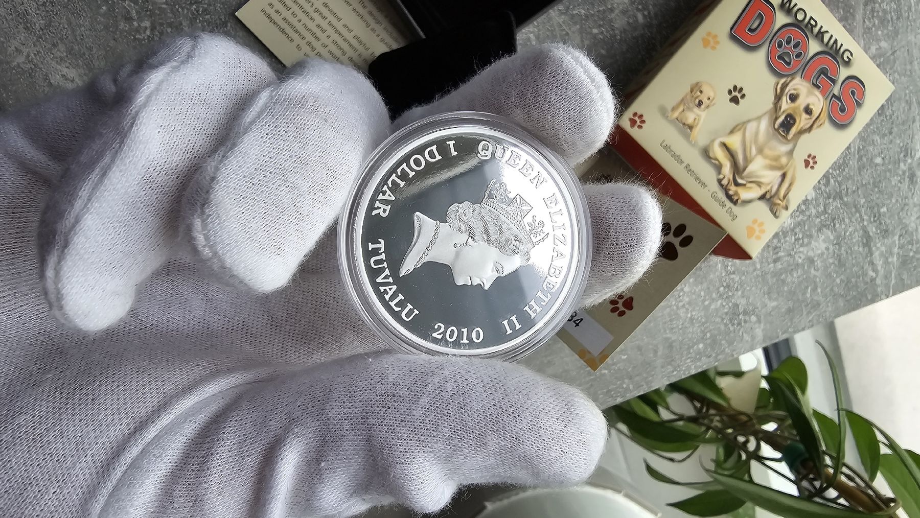 Tutti le monete: Working Dogs Labrador Guide Dog 1 oz Silver Proof Tuvalu – Usato da Petit-Lancy venduto da SilverCoinCoin 3