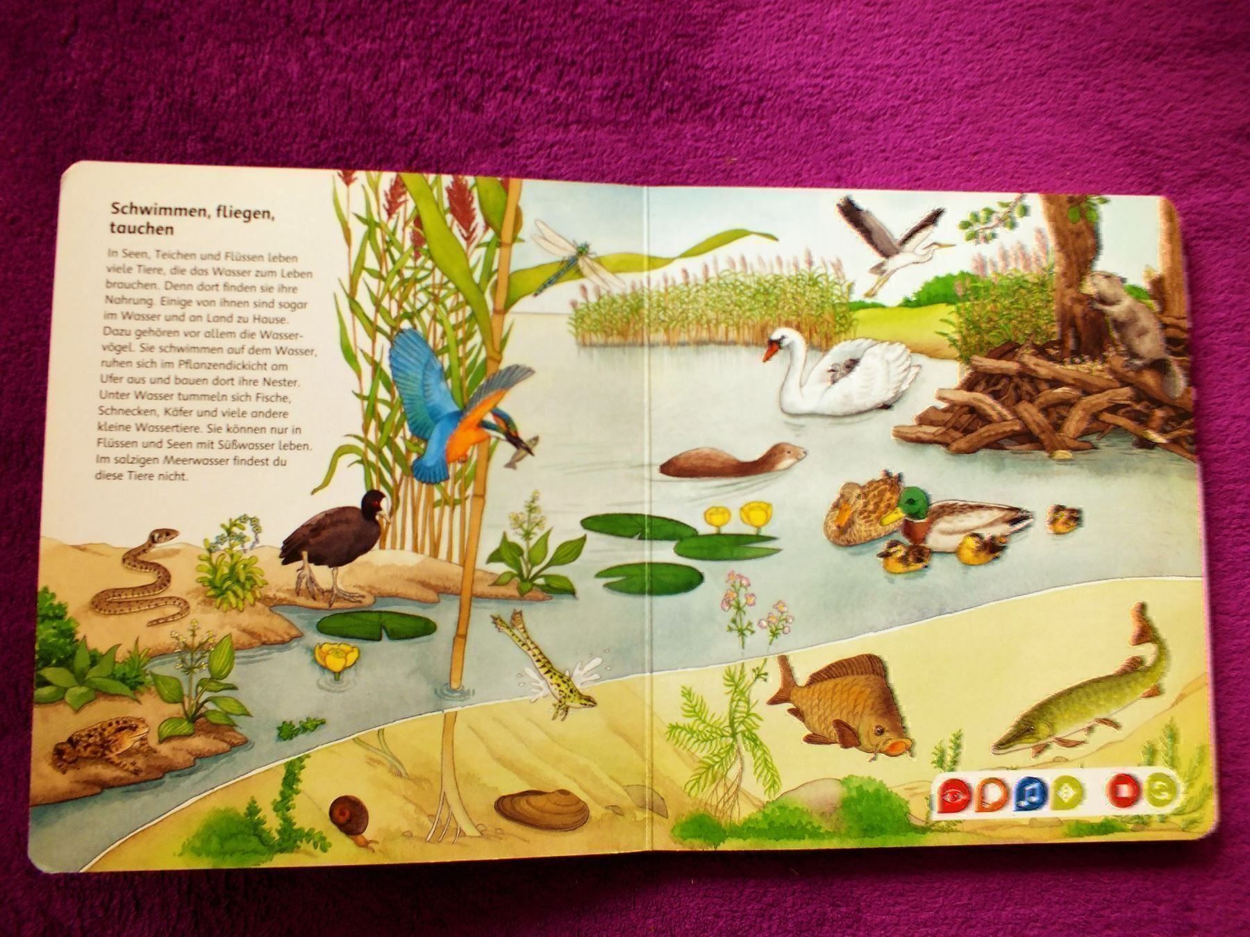 Bücher: tiptoi Buch - Bilderlexikon Tiere – Gebraucht aus Müllheim Dorf von Seeeule01 2