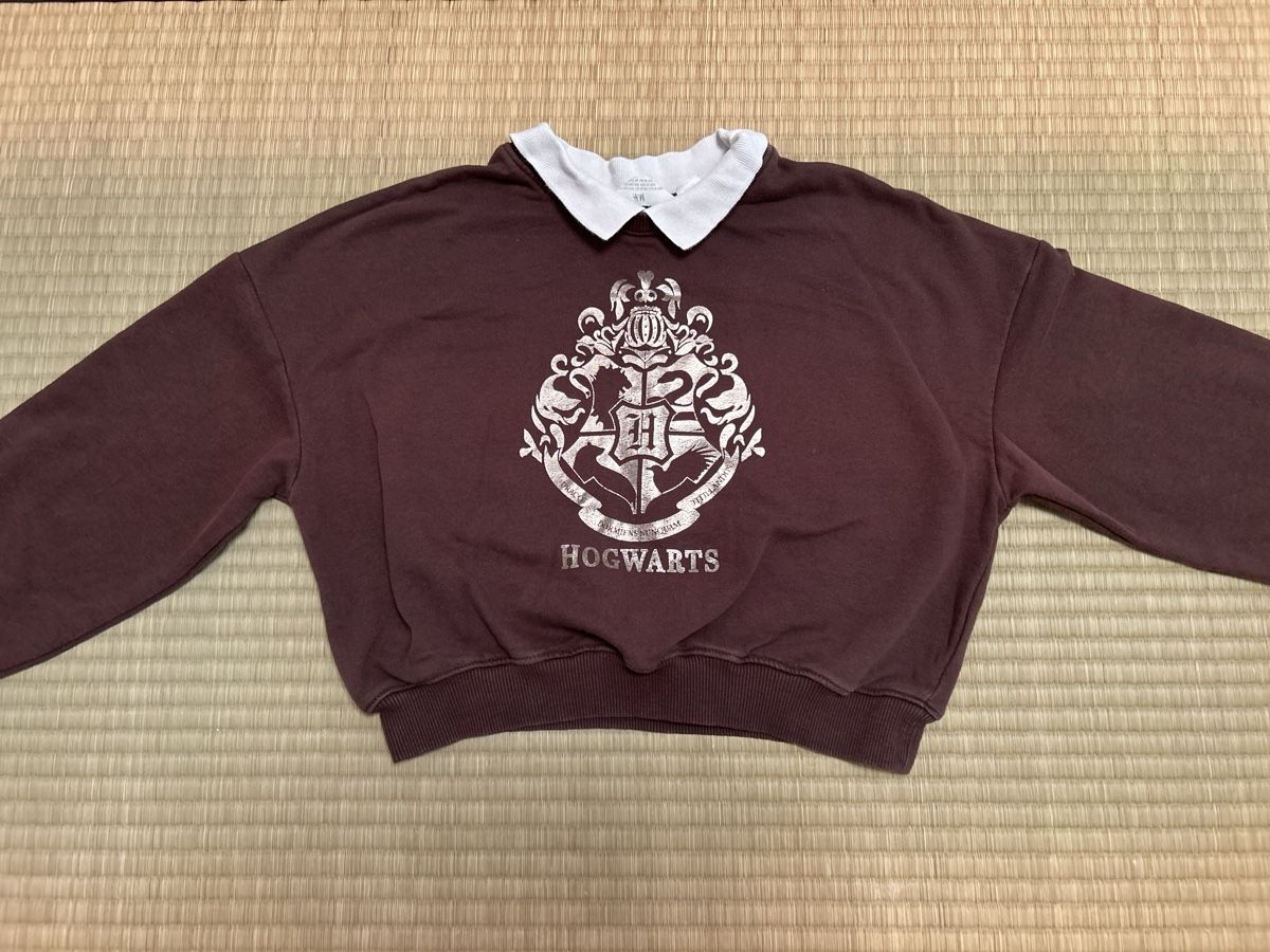 H&M Pullover & Sweatshirts: Hogwarts Pullover – Gebraucht aus Uetikon am See von barceloneta