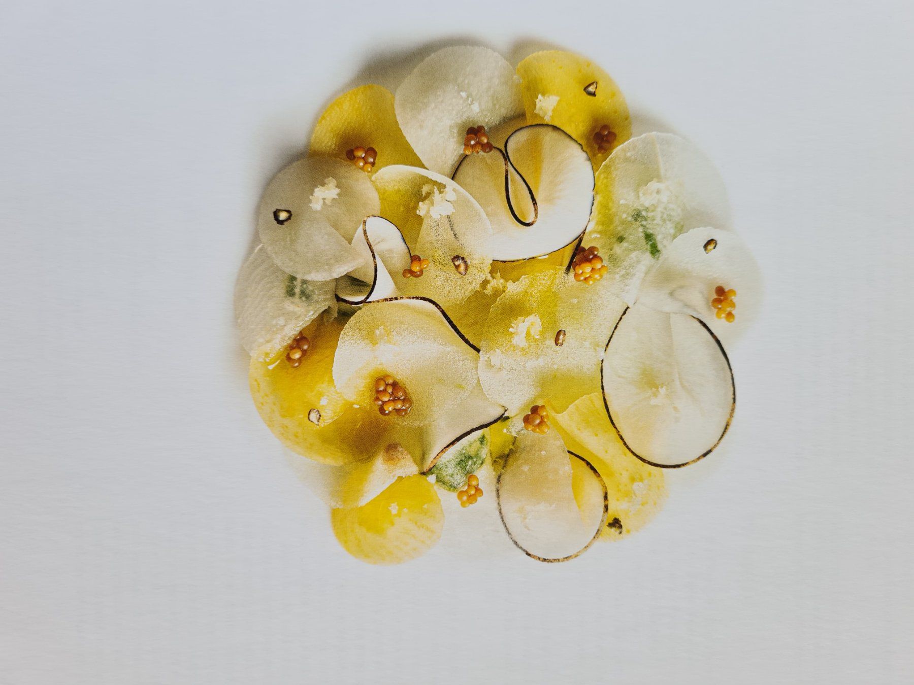Bücher: Eleven Madison Park: The Plant-Based Chapter – Neu und originalverpackt aus Zumikon von Rosa26 8