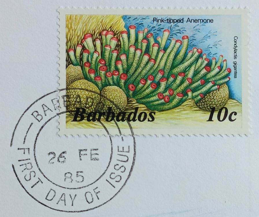 Münzbrief Barbados 🇧🇧 1985 | Kaufen auf Ricardo