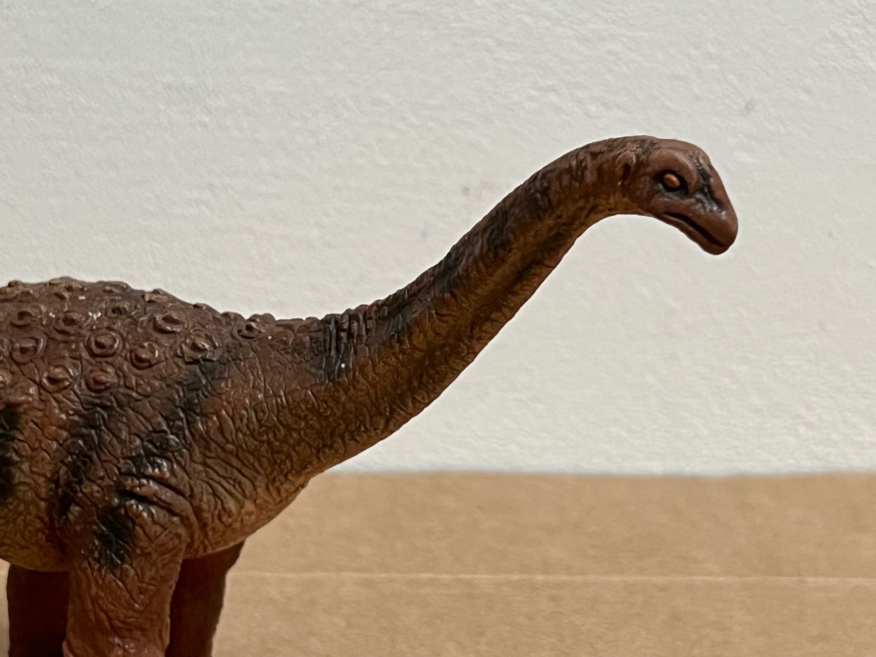 Schleich Statuette: Schleich Saltasaurus Dinosaurier Dino – Usato da Ennetbaden venduto da mapa05 1