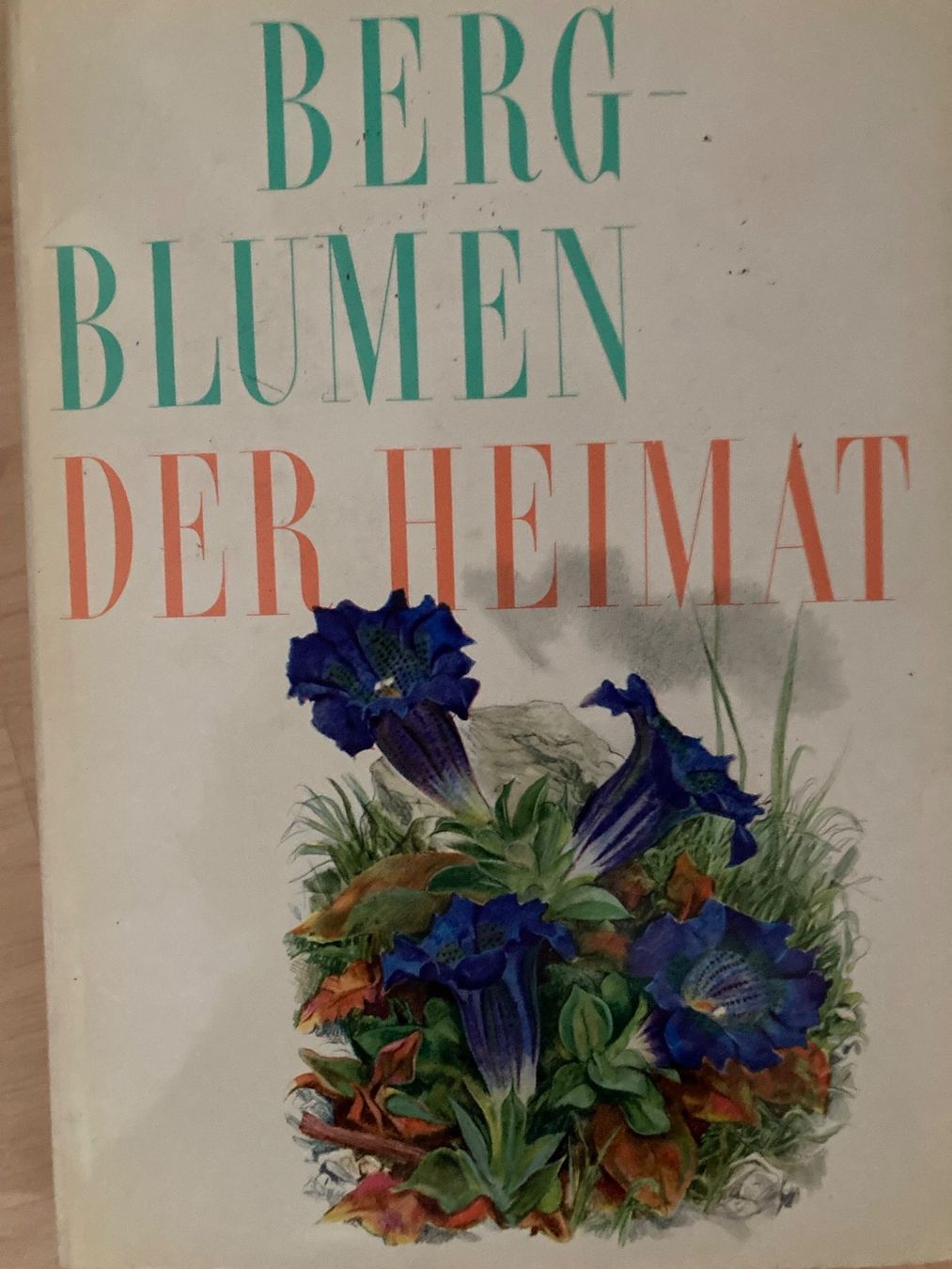 Libri: Blumenbücher, Orchideen, Gartenblumen, Bergblumen – Usato da Oberlunkhofen venduto da Martab 3