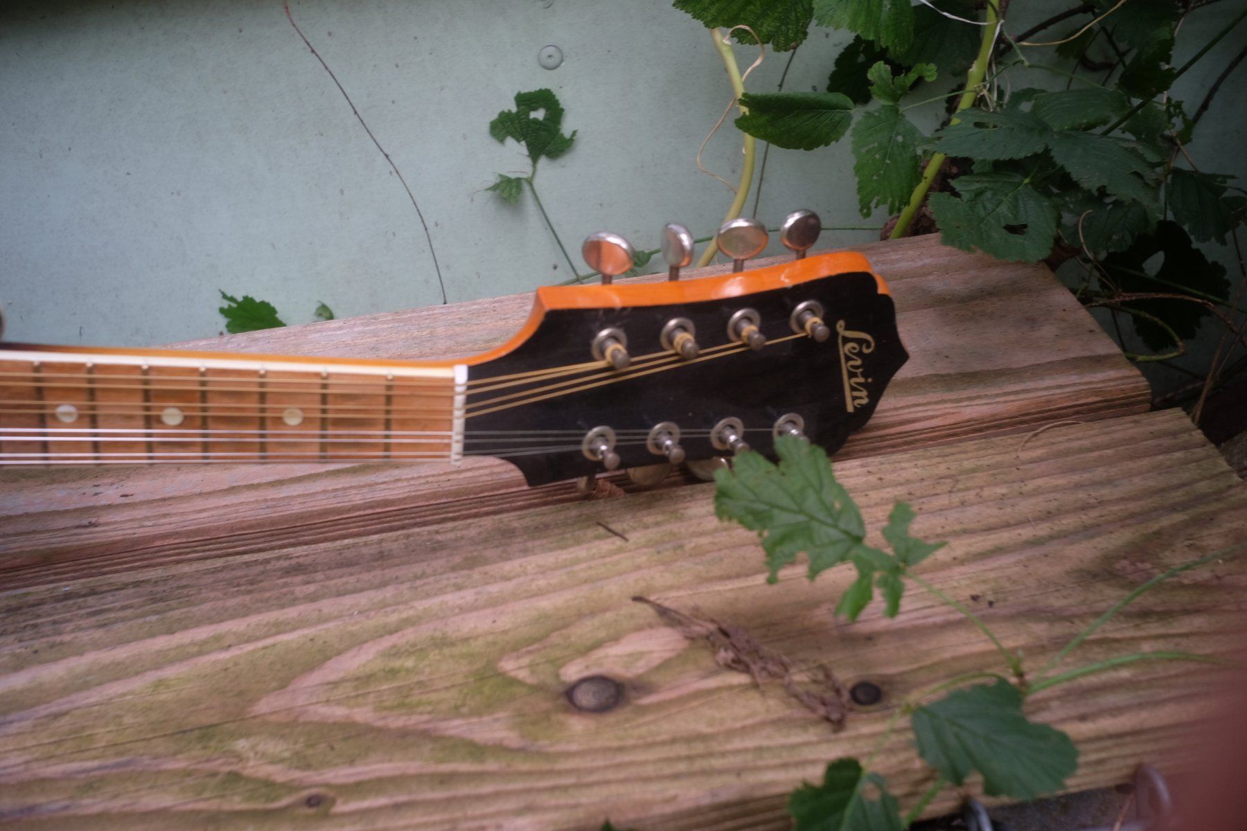 Strumenti musicali: Levin Mandoline 1945 – Usato da Winterthur venduto da hermanadam 2