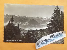 1944 Rigi - Kulm, Blick auf die Alpen