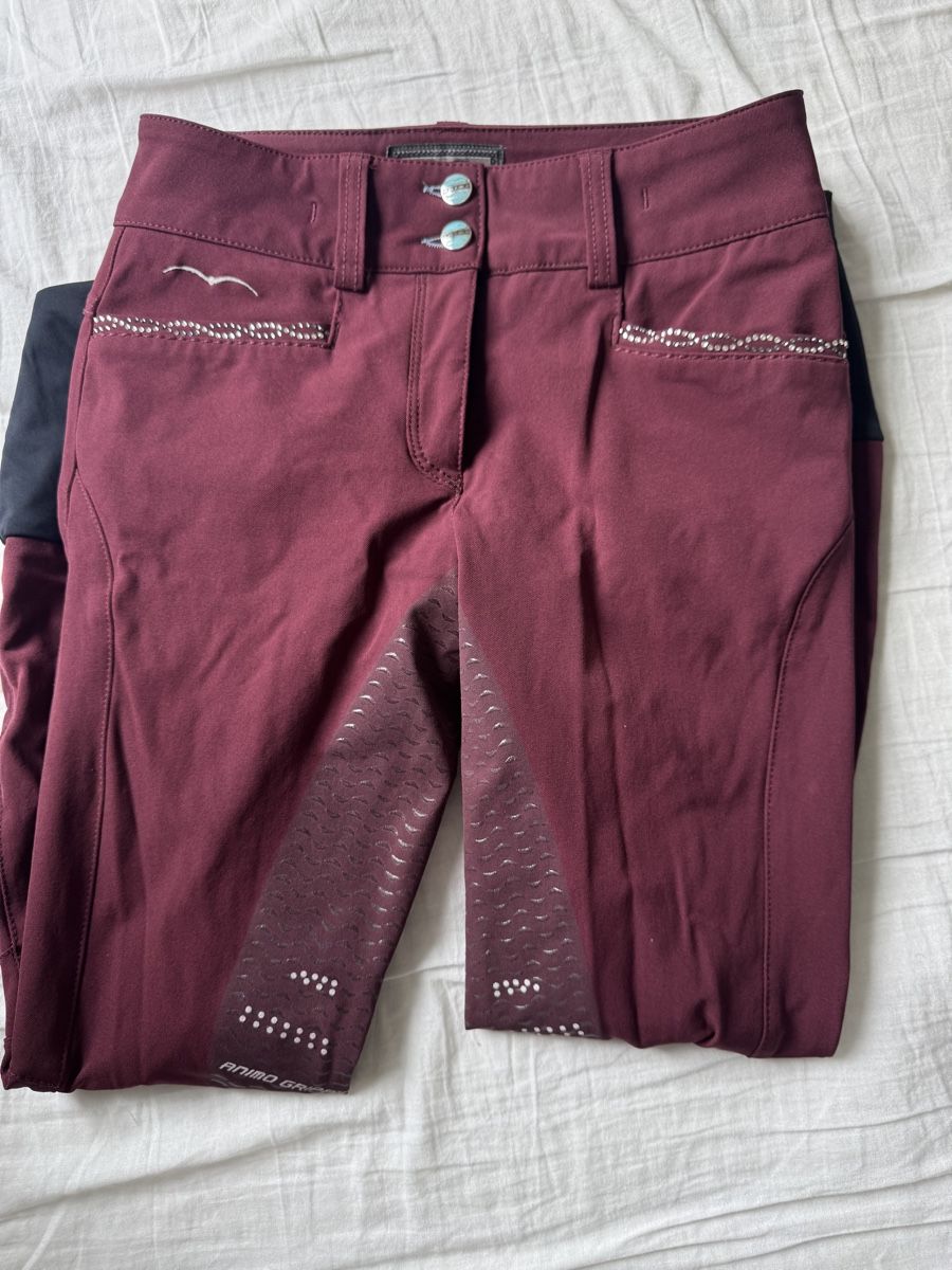 Pantalons: Animo Reithose – D'occasion à Wattwil par ann_h68g