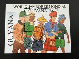 Guyana 1988 World Scout Jamboree gestempelt (D139)