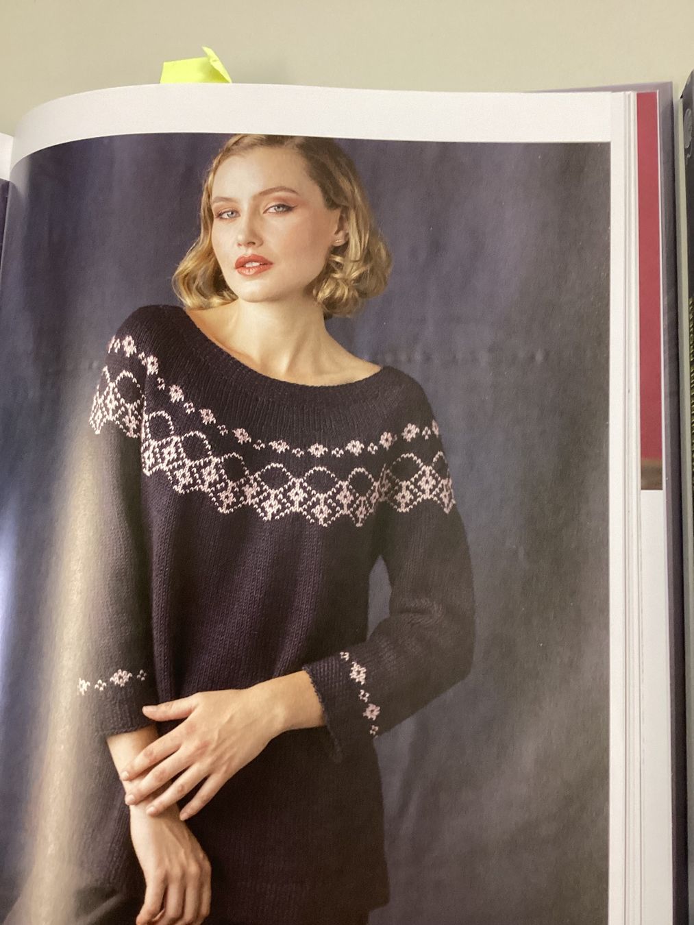 Lana: Strickbuch Rundpasse von oben – Usato da Zürich venduto da orella79 3