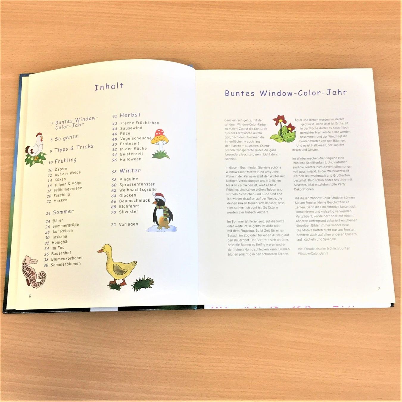 Libri: Das bunte Window Color Buch – Usato da Amlikon-Bissegg venduto da allerlei-versand 1