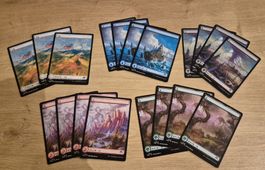 Modern Horizons 3 - 19x Fullart Mana (Chinese)