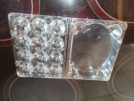12er Wachteleierschachtel Eierverpackung Wachteln