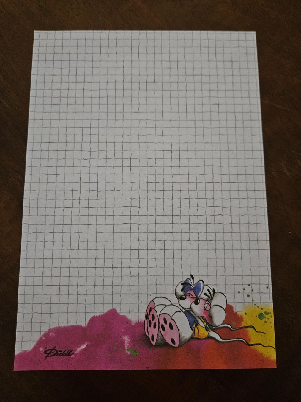 Carta: Diddl DIN A5 – Usato da Frauenfeld venduto da Jewells-Child