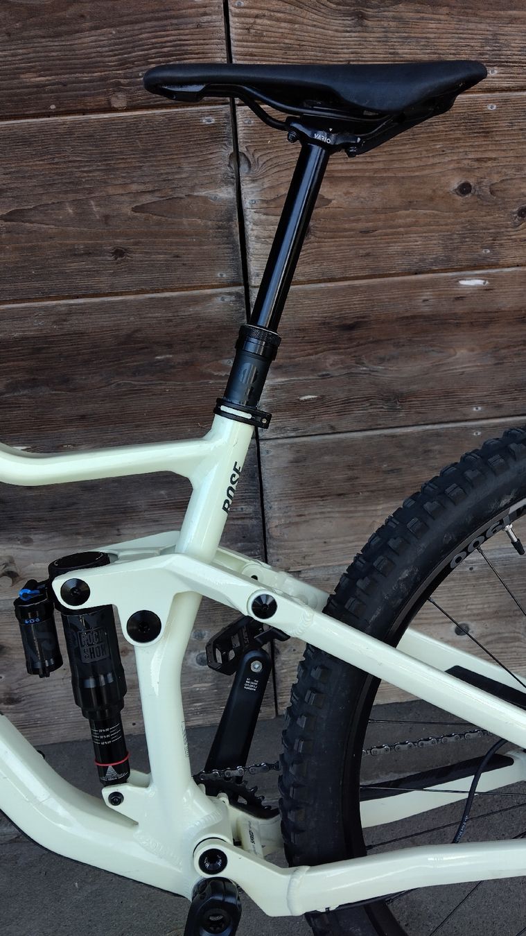 Rose Biciclette: Rose Root Miller 2, Size M – Usato da Laupen BE venduto da Accer 1