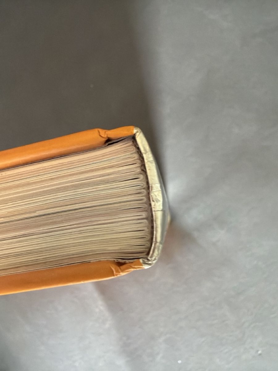 Bücher: DAS GROSSE BUCH VOM WILD GUTER ZUSTAND – Neu (gemäss Beschreibung) aus Wetzikon ZH von philippe_22 5