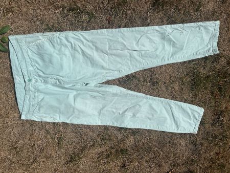 China Carhartt Johnson Pant 30W 32L , leicht verschmutzt
