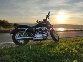 HARLEY-DAVIDSON XL 1200 C Sportster Custom