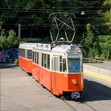 Profile image of 729