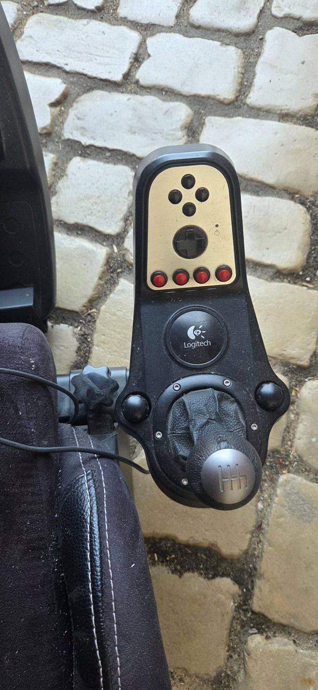 Sistema di controllo: Playseat Evolution + Logitech G25 Komplettset – Usato da Remigen venduto da gia_r6nx 1
