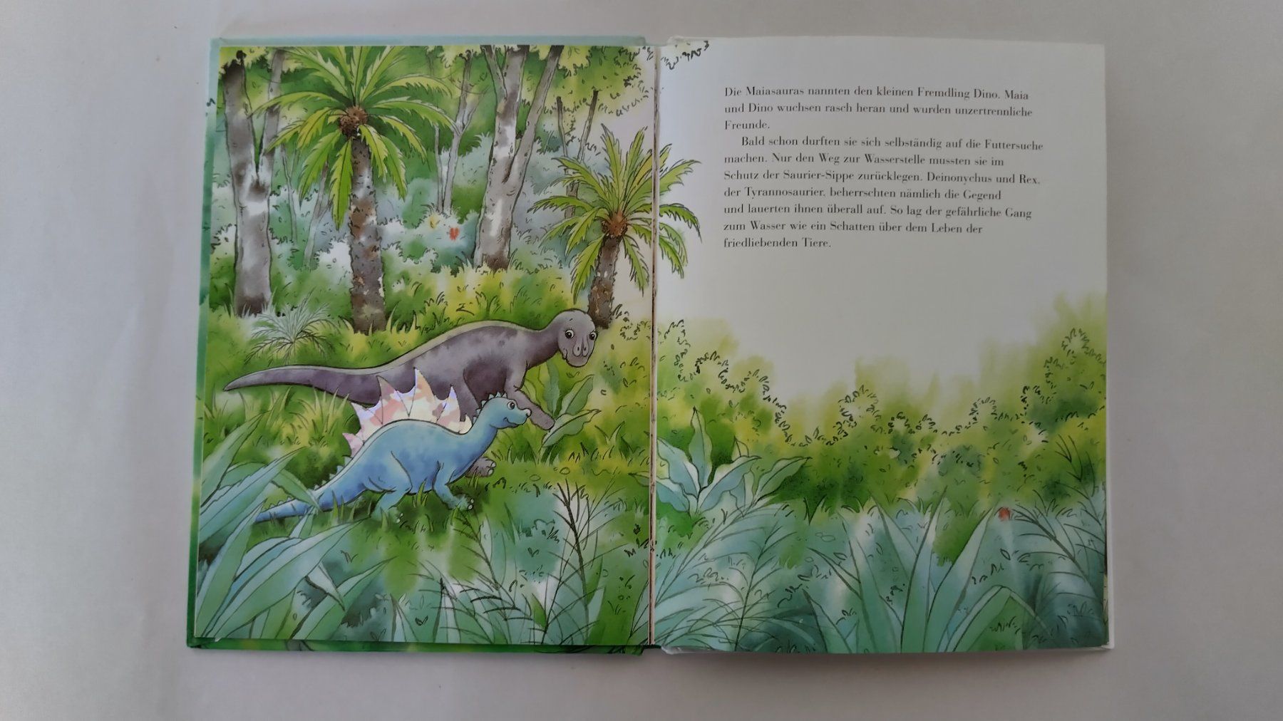 Bücher: Der kleine Dino / Bilderbuch Marcus Pfister / Midi-Format – Gebraucht aus Bellach von JingleJerry 4