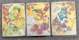 Pokemon First Partner 2 Chikorita Cyndaquil Totodile EN
