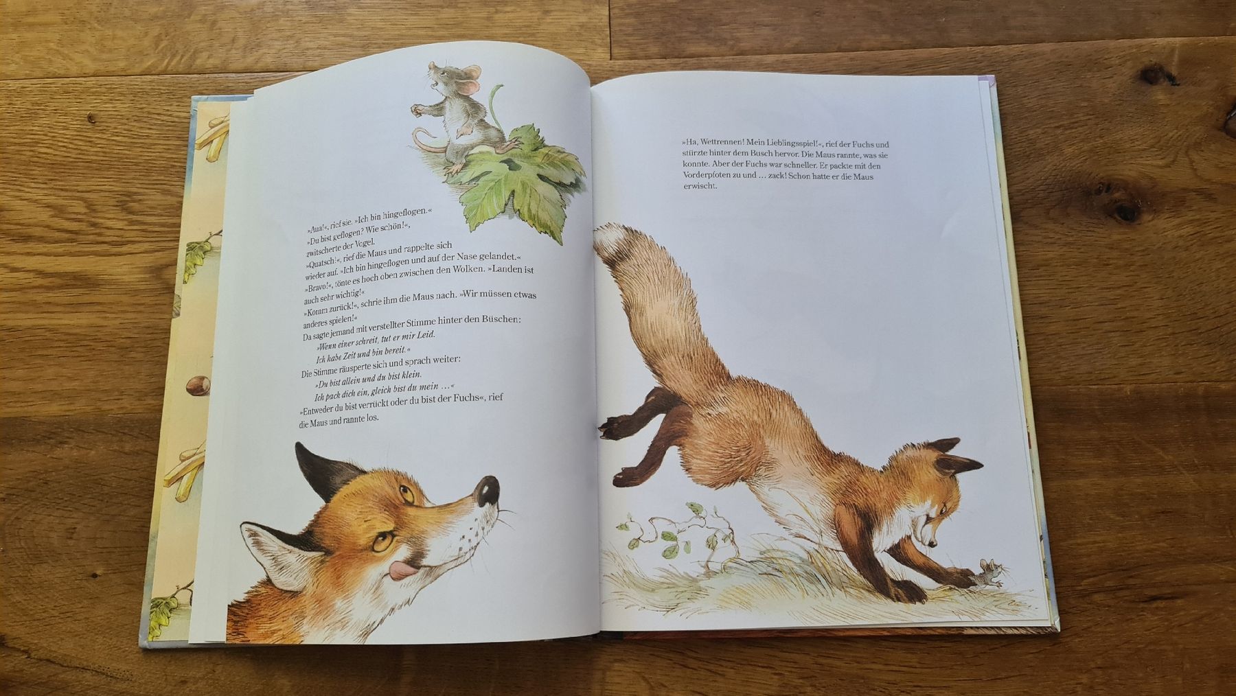 Bücher: maus kleine maus wilhelm topsch  buch – Gebraucht aus Wittenbach von Tigerlili 1