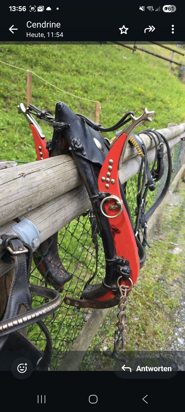 Briglie & Cavezze: 2 Colliers grisonnais rouges pour poneys – Usato da Herrliberg venduto da revelune 2