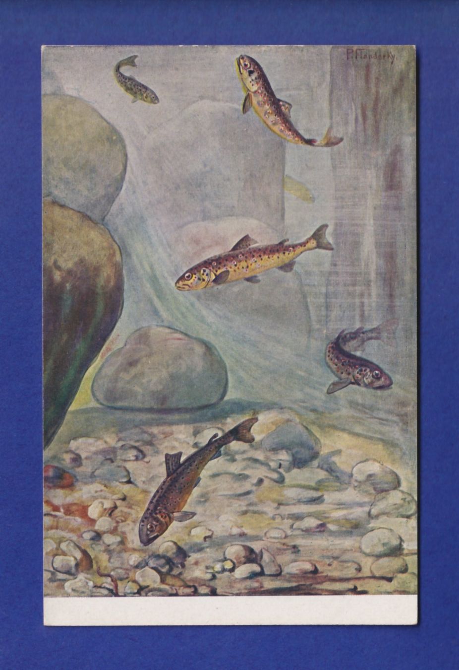 Ansichtskarten: POISSON – Gebraucht aus Pully von nicecards-shop